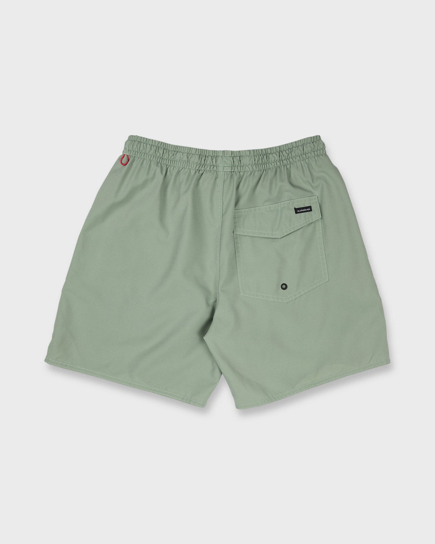Saltwater 17" Swim Trunks - Lily Pad