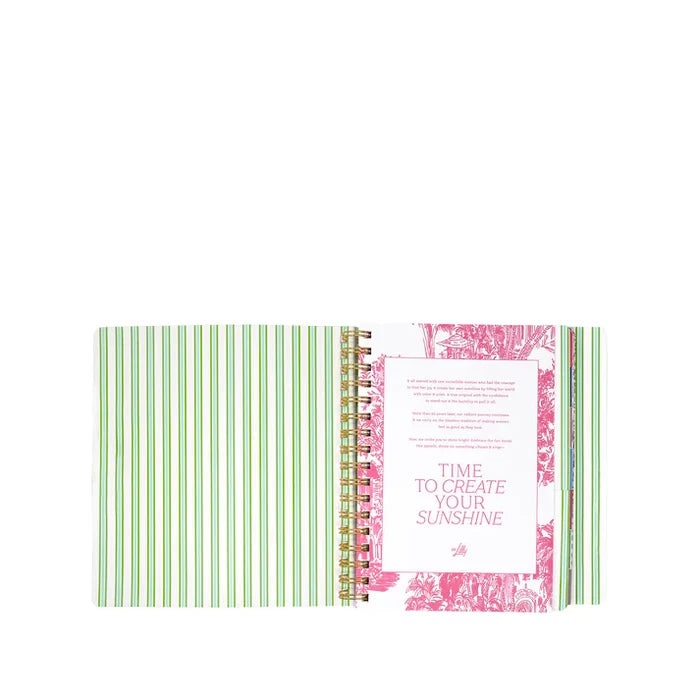 17 Month Soft Cover Planner (Mint Condition/Burst of Joy)
