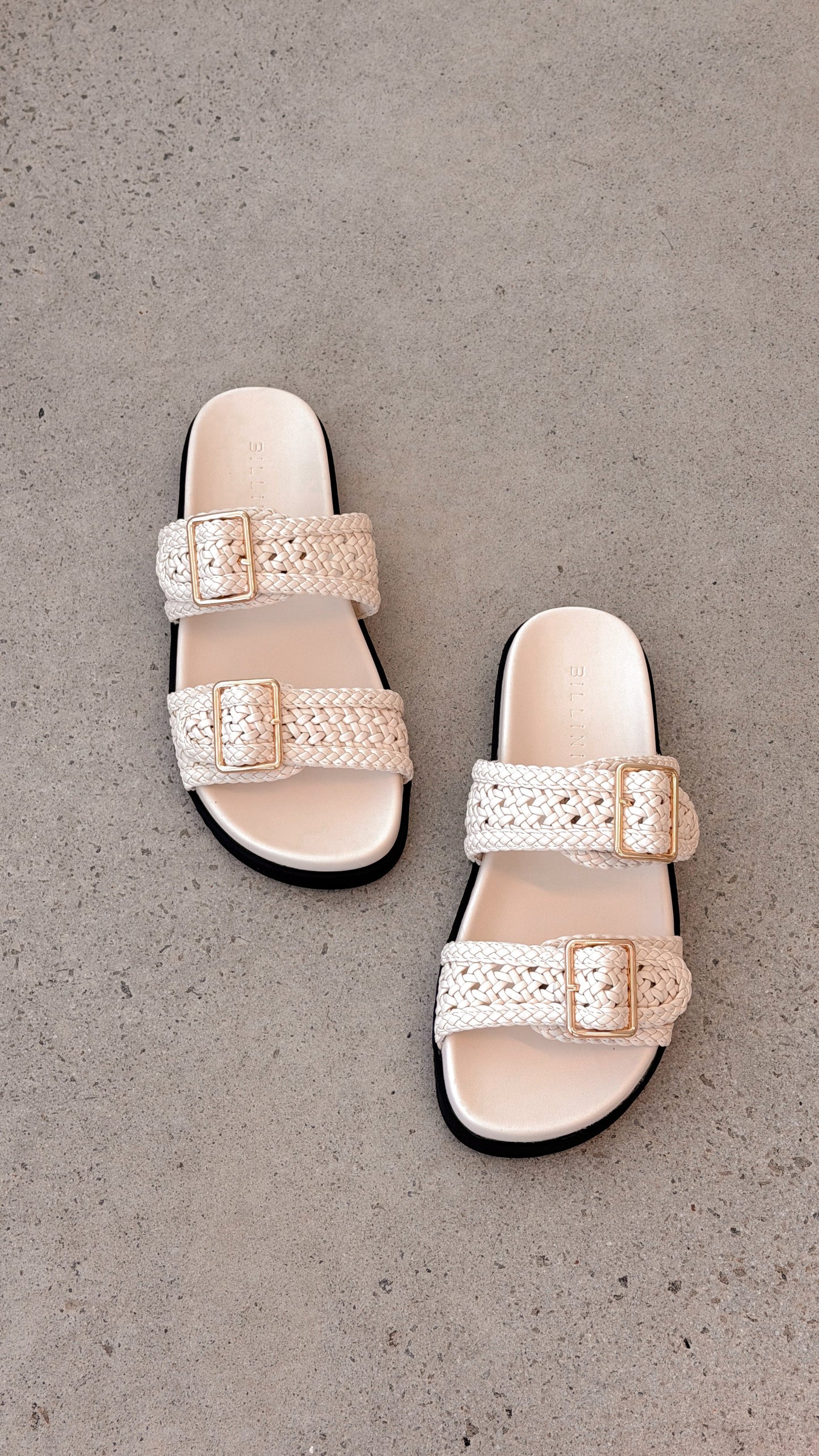 Aprila Slides - Bone