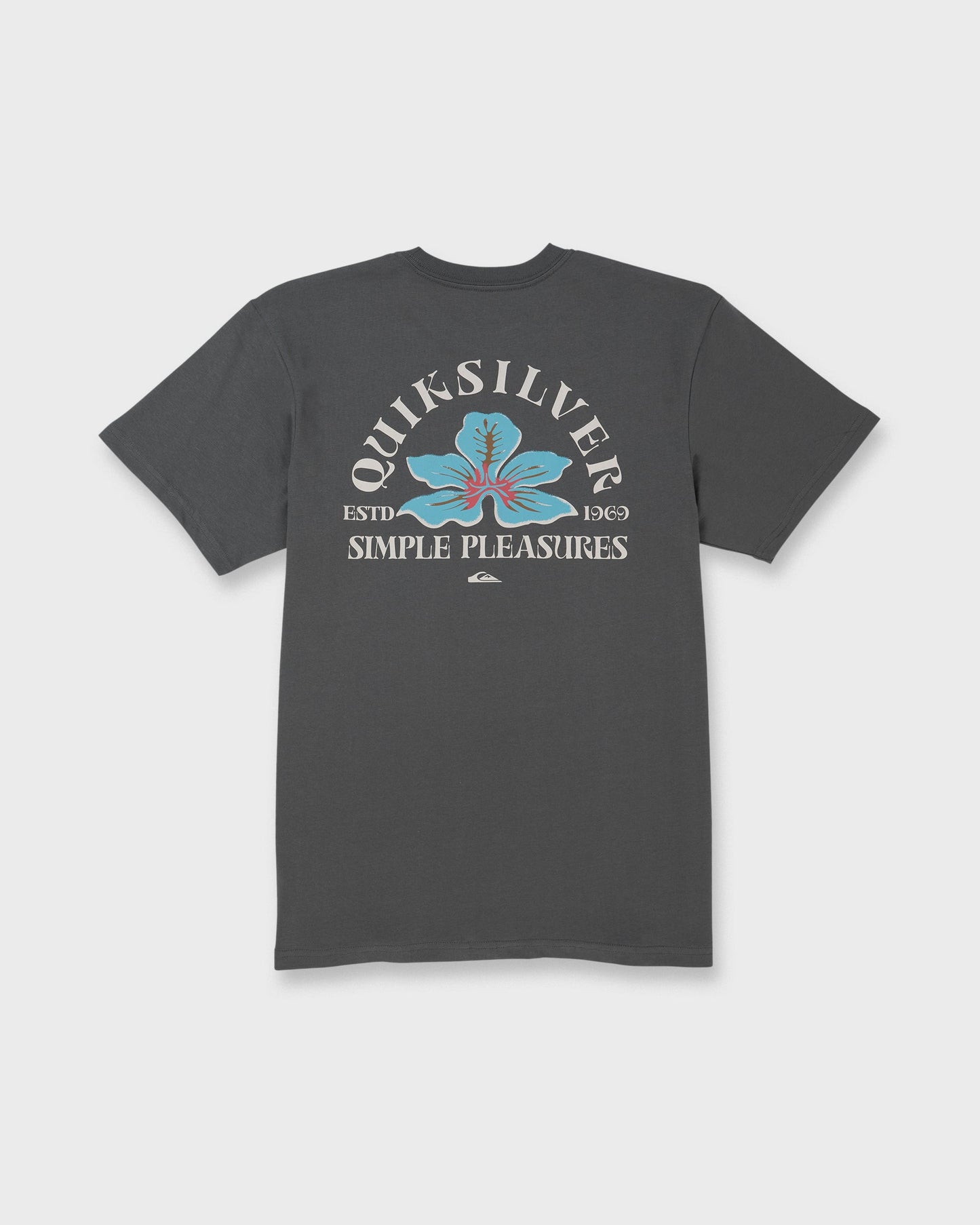 Pleasures Classic Short Sleeve T-Shirt - Iron Gate