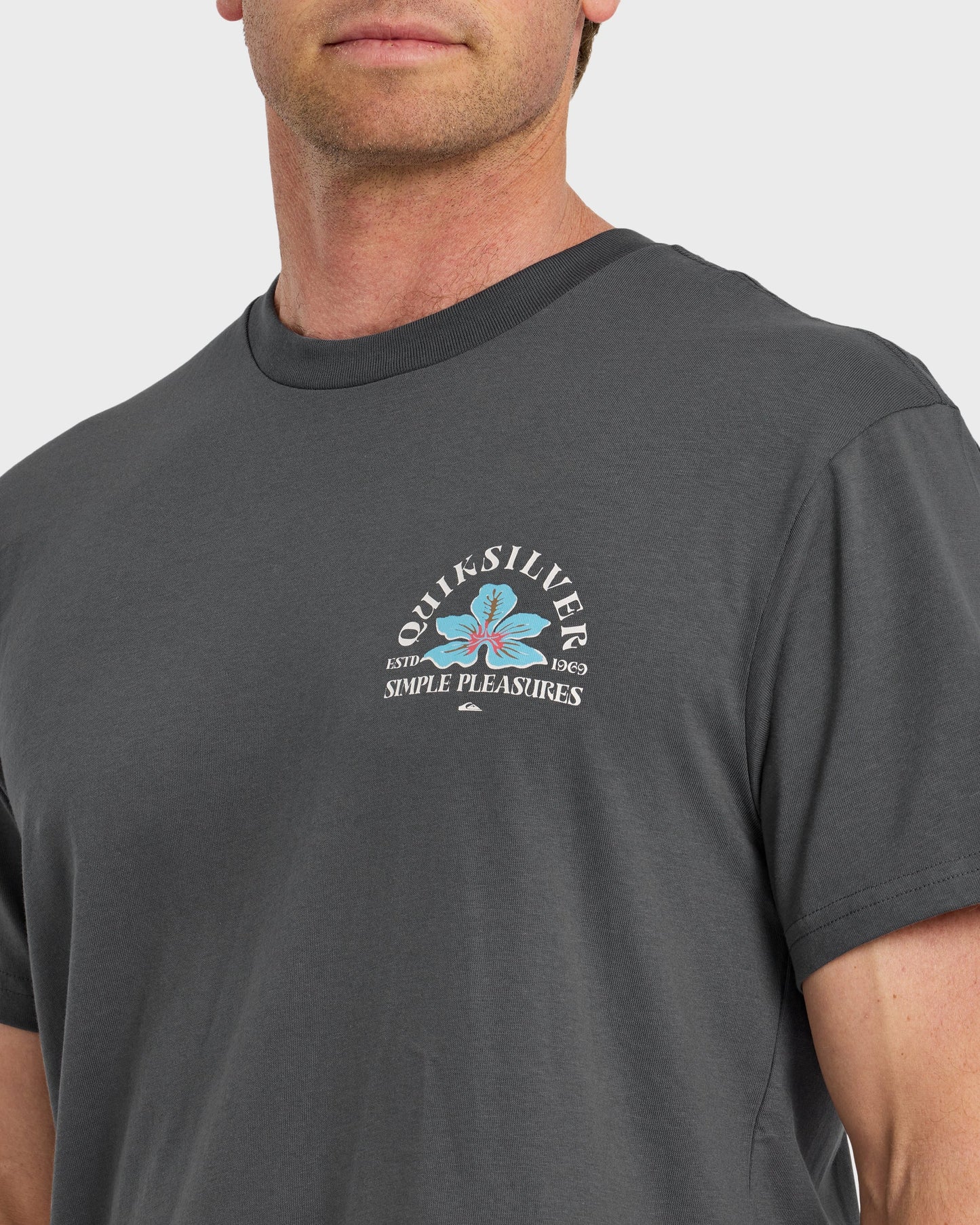 Pleasures Classic Short Sleeve T-Shirt - Iron Gate