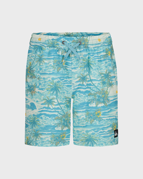 Little Boys Surfsilk Mix Volley Swim Trunks