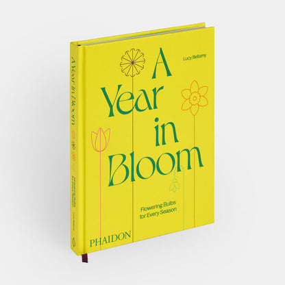 A Year in Bloom: Flowering Bulbs for Every Season