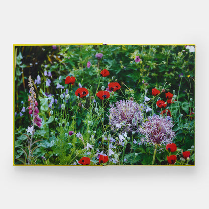 A Year in Bloom: Flowering Bulbs for Every Season