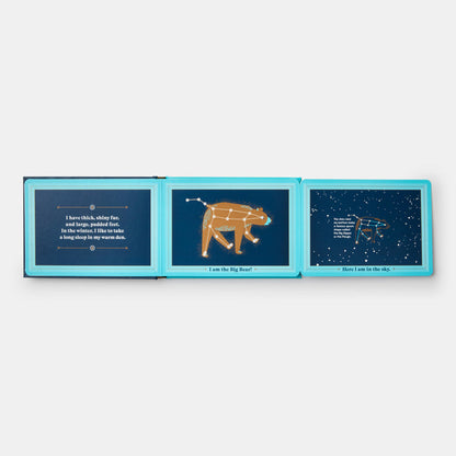 Animals in the Sky