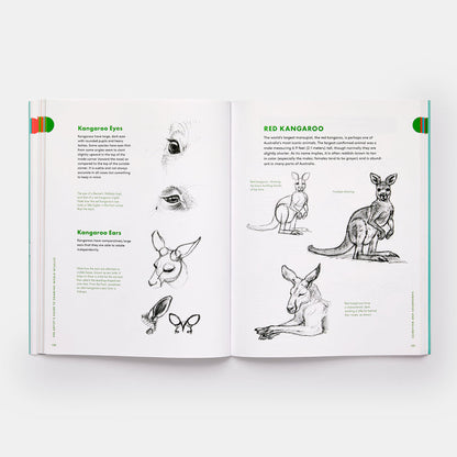 Artist's Guide to Drawing World Wildlife: Essential Step-by-Step Lessons for Beginners