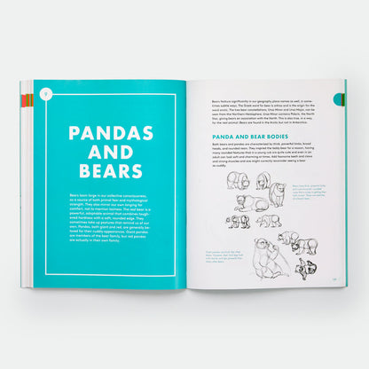 Artist's Guide to Drawing World Wildlife: Essential Step-by-Step Lessons for Beginners