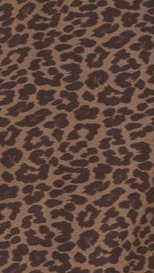 Bobby Crew Neck Tee - Leopard Print