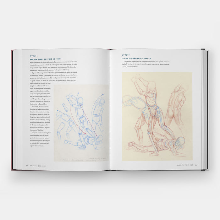 Drawing the Body: Reading the Human Form in Art