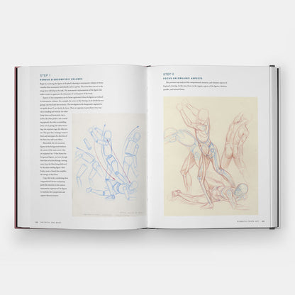 Drawing the Body: Reading the Human Form in Art