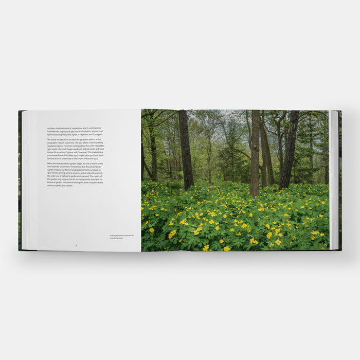 Garden Portraits: Experiences of Natural Beauty