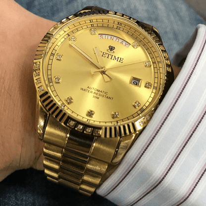 IceTime Falcon Gold Steel .12cttw Diamond Watch