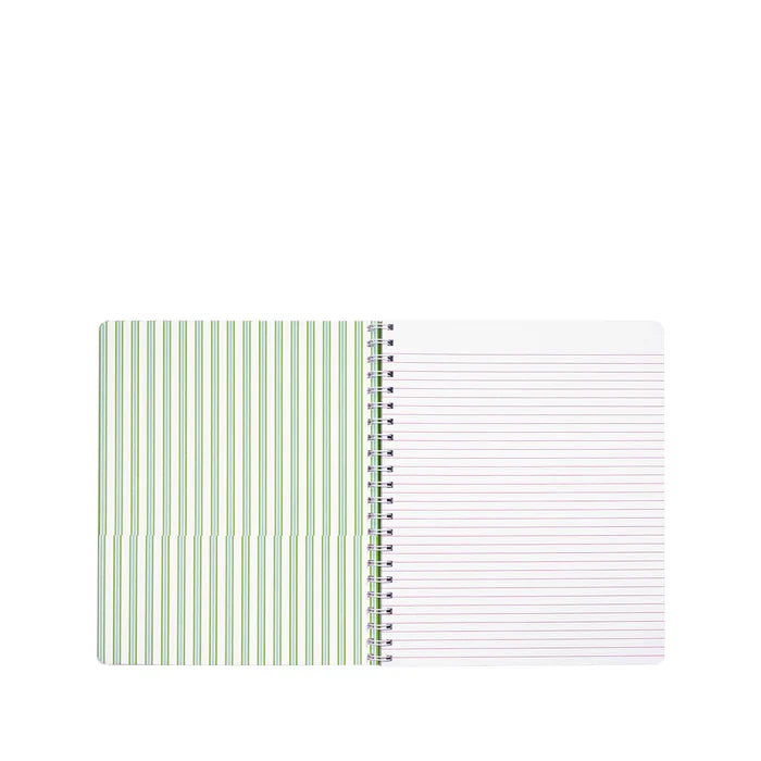Large Notebook (Mint Condition Burst of Joy)