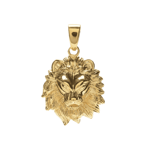 Crucifix and Lion Set in Yellow Gold