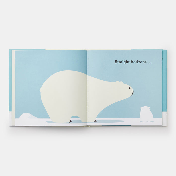 Little Bear Dreams