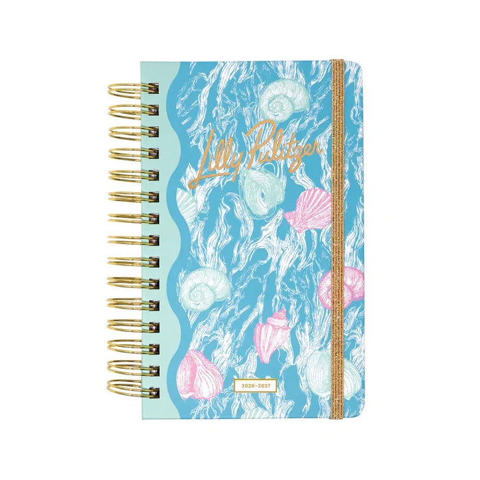 Medium 17 Month Agenda (Shelden)