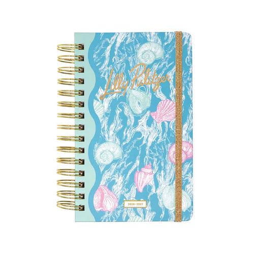 Medium 17 Month Agenda (Shelden)