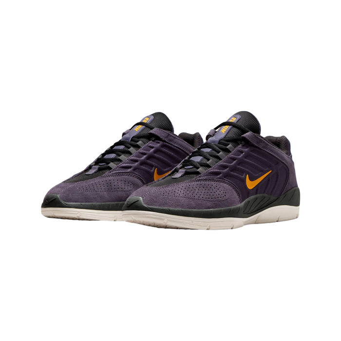 Nike Men’s SB Vertebrae Shoes – Purple FD4691-500