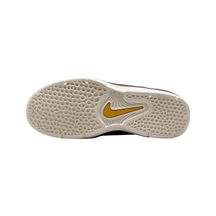 Nike Men’s SB Vertebrae Shoes – Purple FD4691-500