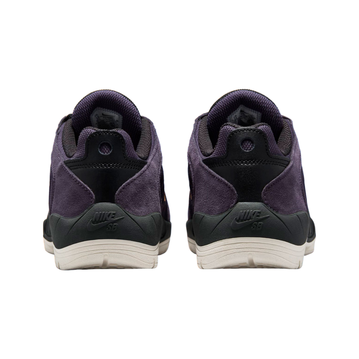 Nike Men’s SB Vertebrae Shoes – Purple FD4691-500