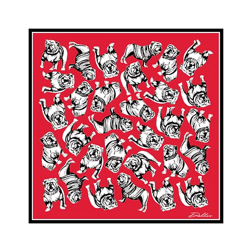 Sic' Em Gameday Scarf (Red)