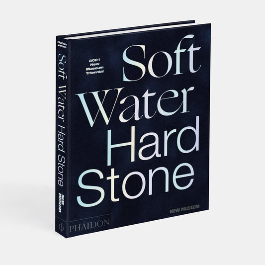 Soft Water Hard Stone: 2021 New Museum Triennial