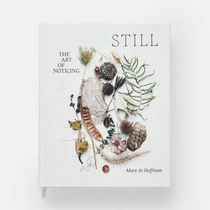 STILL: The Art of Noticing